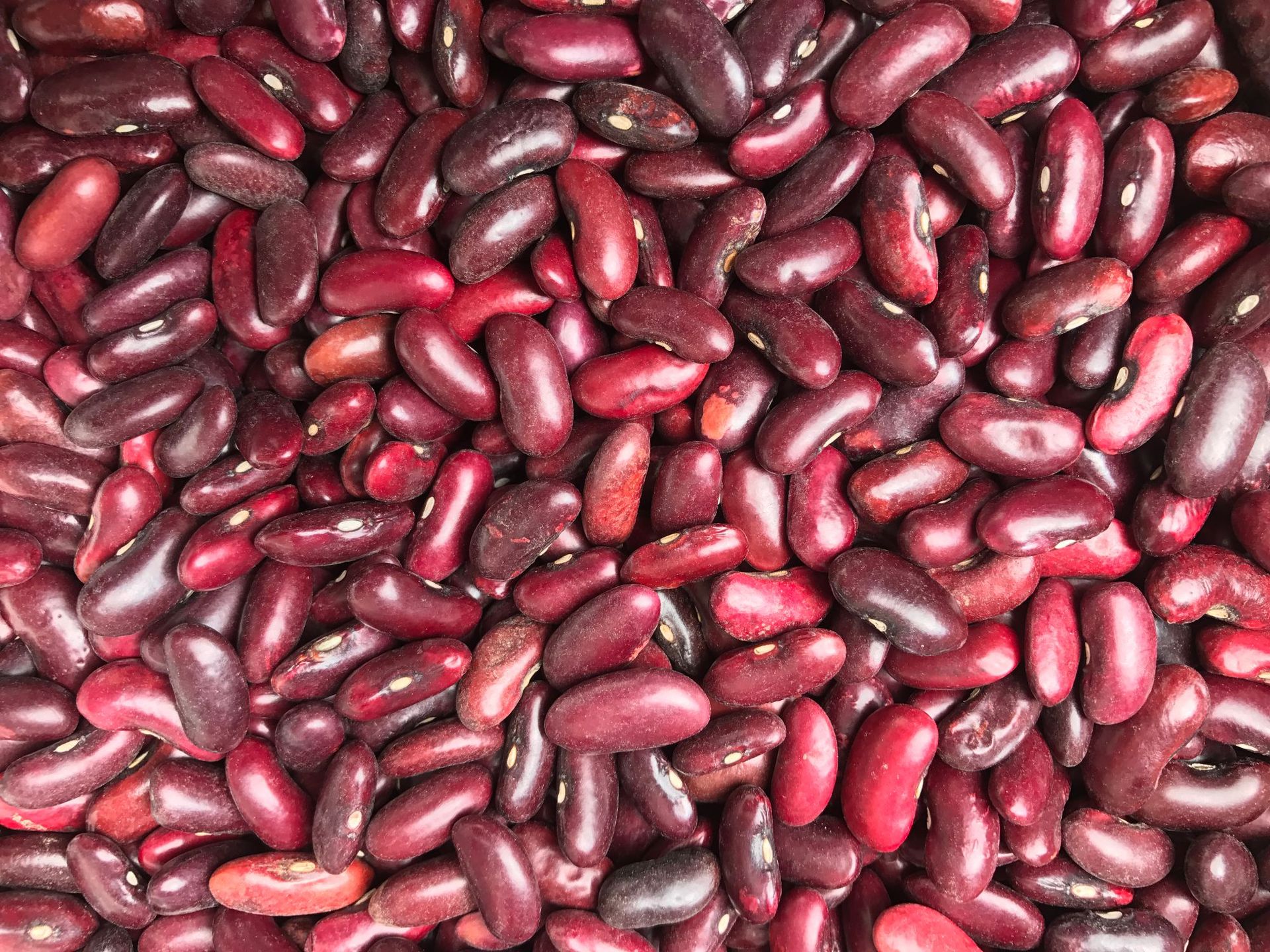 云南本地红腰豆 红芸豆 红豆 炖汤滋补五谷杂粮 酒店餐馆做菜原料