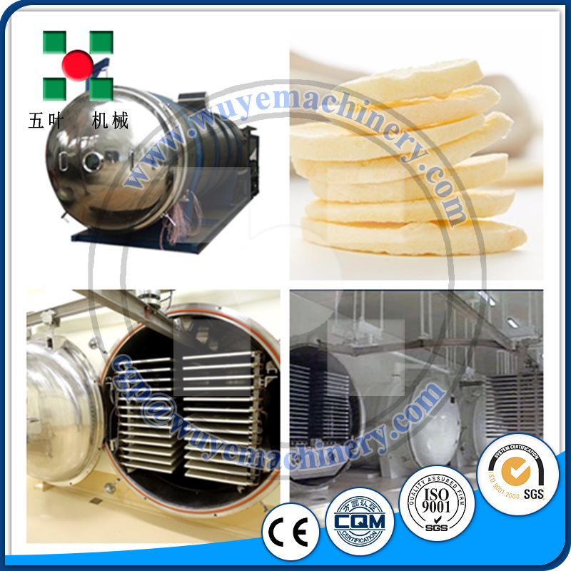 苹果片冻干设备 fd真空冷冻干燥机 果蔬类冻干设备厂家直销cgp