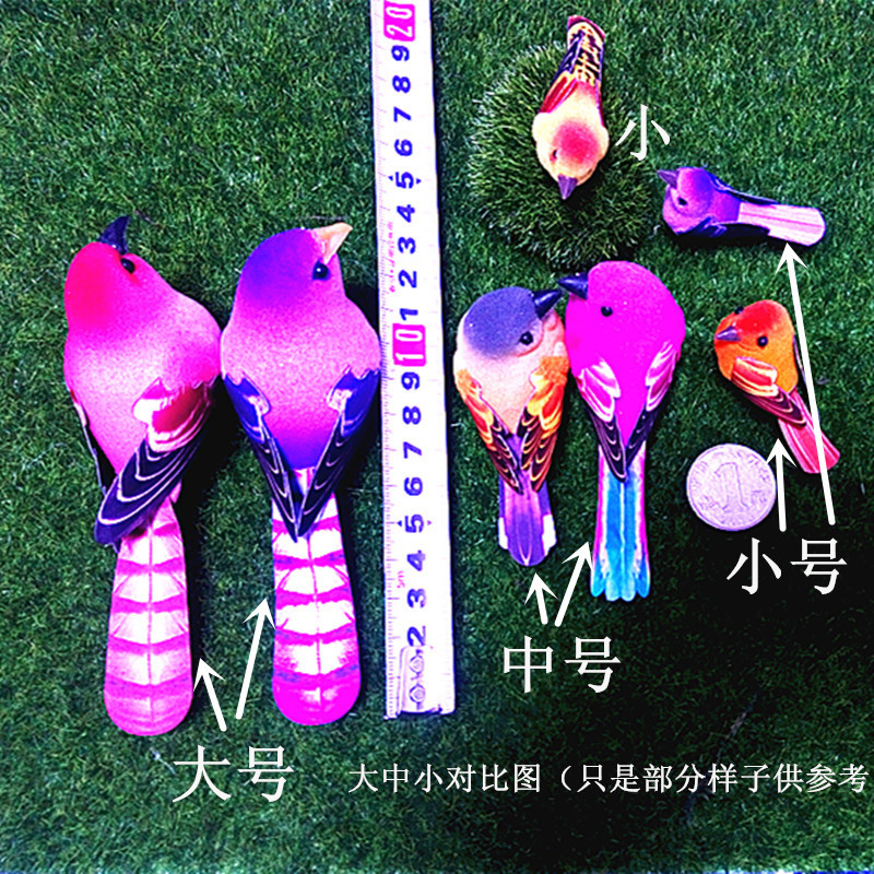 精品鸟大中小对比,特色商品用