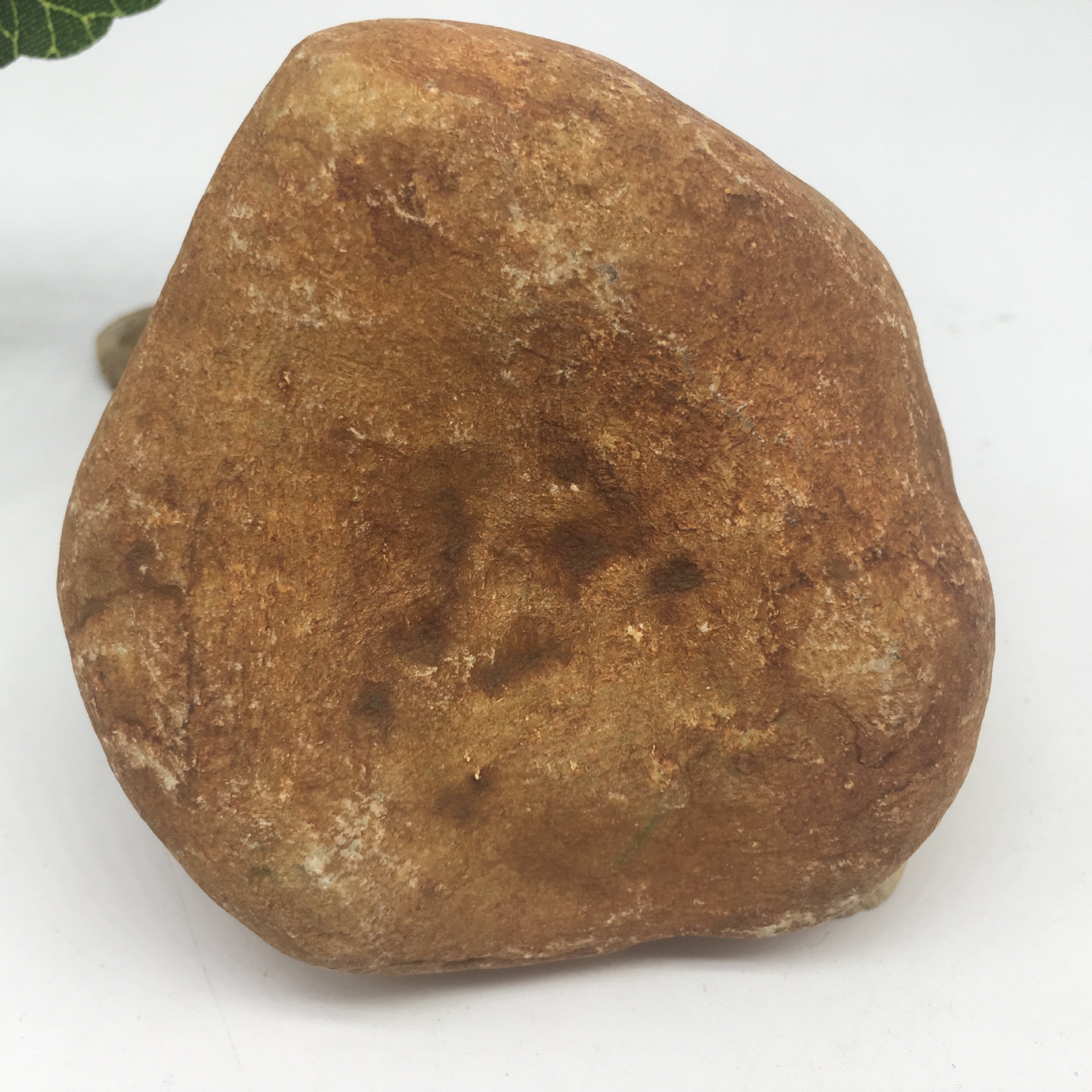缅甸翡翠a货原石老坑翠玉大马坎料黄皮干青色开窗半明料赌石原石