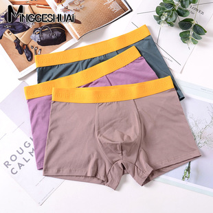 男士内裤纯棉莫代尔中腰男平角裤舒适透气运动青年男生四角短裤头