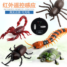 新奇特遥控蝎子蜈蚣乌龟蜘蛛甲虫红外线感应爬行动物电动遥控玩具