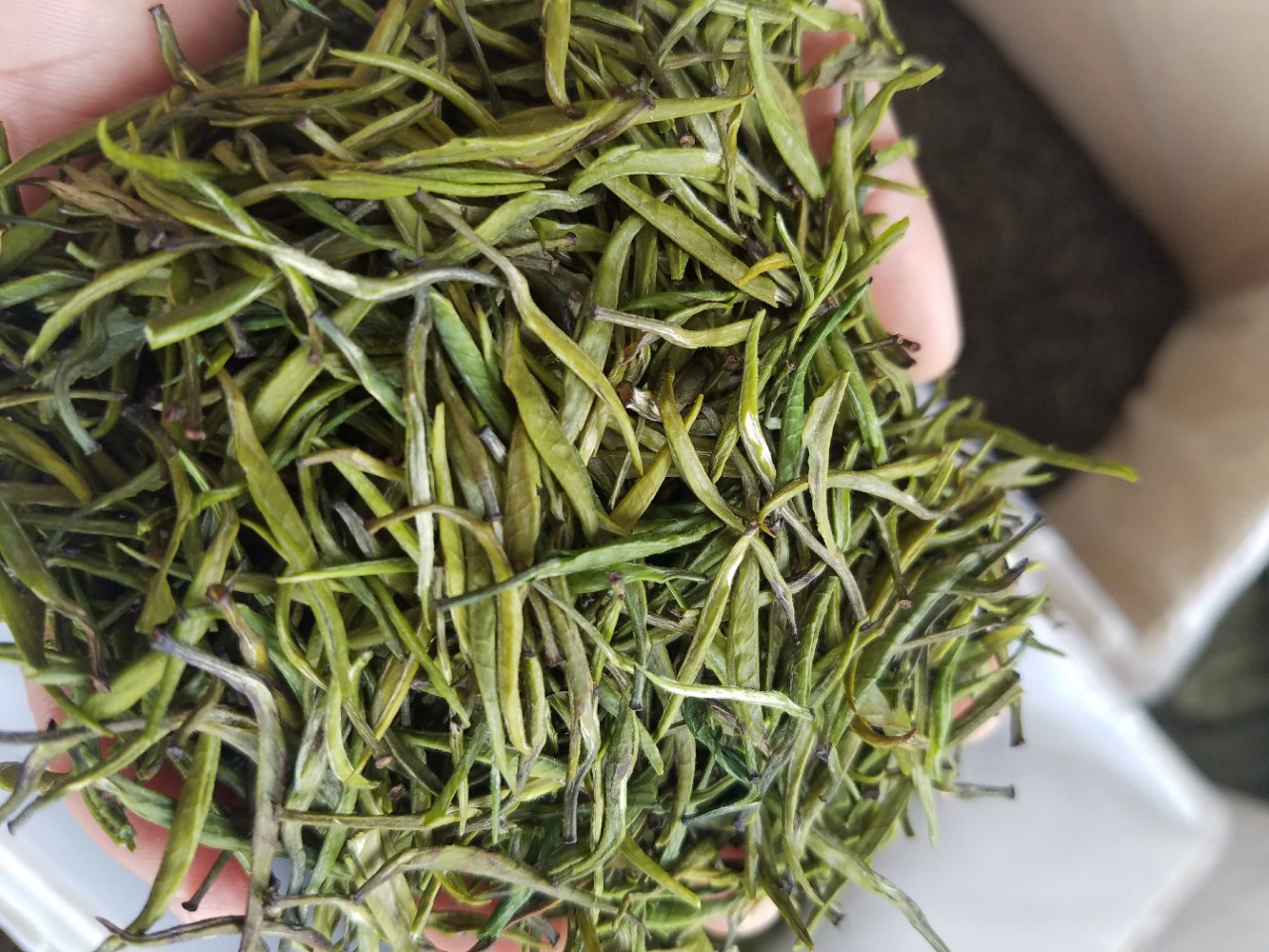 2018年春茶云南滇绿茶青针单芽直针脱