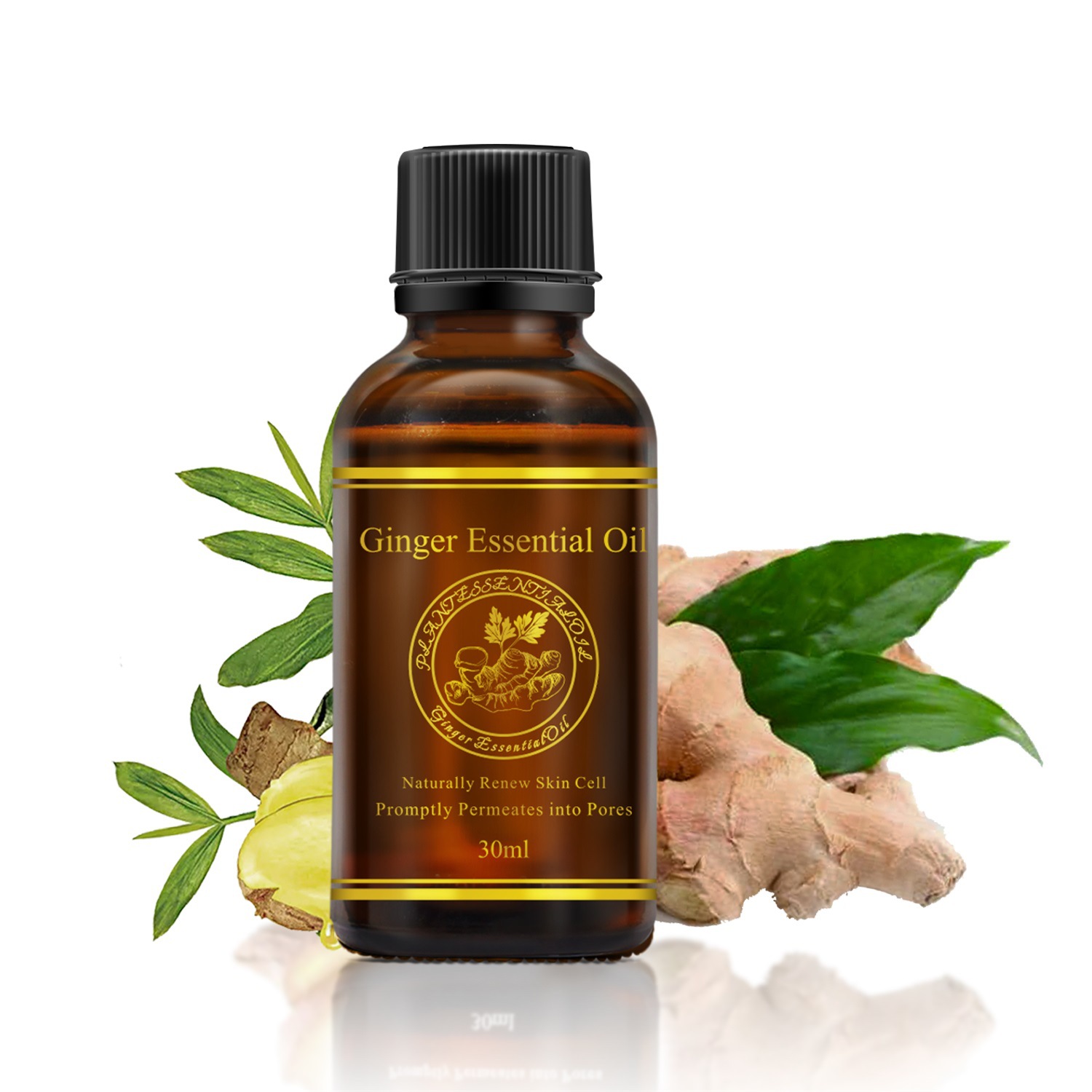 aliver生姜精油身体按摩精油推拿spa姜油推拿油按摩油ginger oil