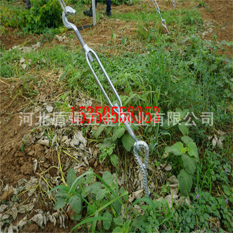 工厂直销 拉线地锚 果园地锚 大棚地锚 帐篷地锚 葡萄园拉线地锚