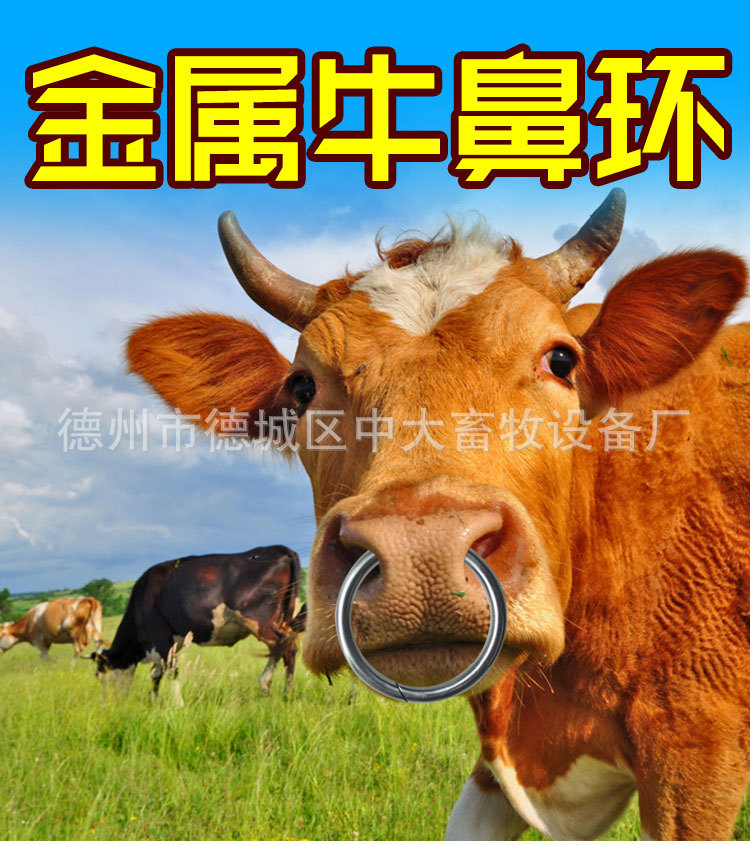 牛鼻环详情_01