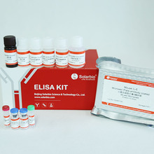 小鼠白介素6ELISA试剂盒    买ELISA试剂盒，免费代测