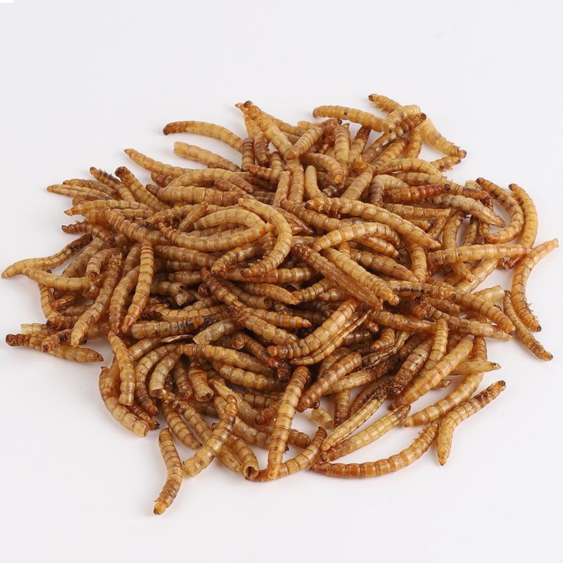 柏卡乐乌龟饲料巴西鳄龟黄头猪鼻龟专用饲料龟食面包虫干冻鱼干