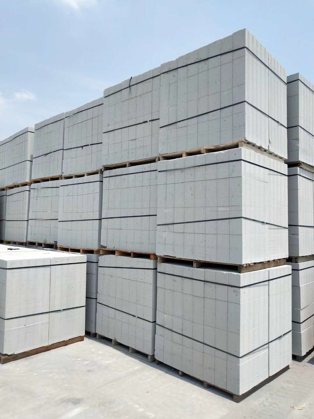 浙江省桐乡市 各种规格 蒸压加气混凝土砌块 加气砖 轻质砖