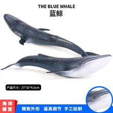 儿童认知仿真海洋生物动物玩具模型 蓝鲸模型玩具 静态手办摆件