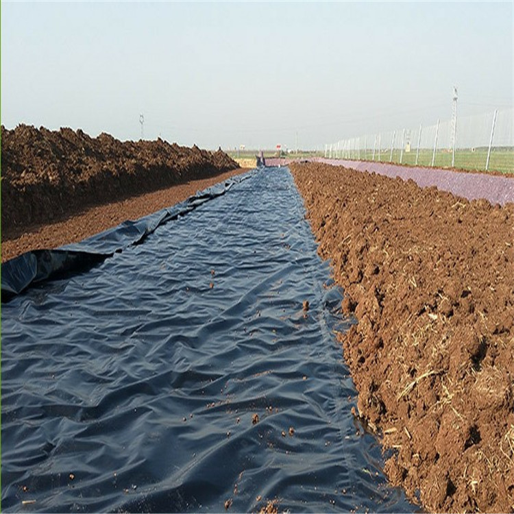 绿化防水阻根hdpe土工膜地基盐池膜鱼塘灰堆填埋场虎皮护堤防渗