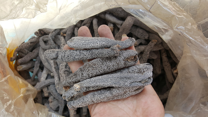 阿里巴巴泡发干海参 花蛇参 大号海参干货 海鲜海产品 500g