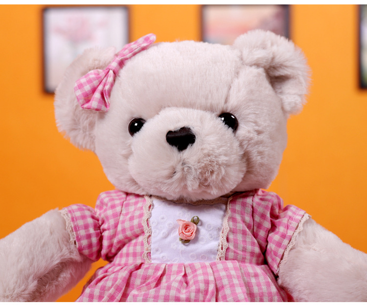 厂家定制可爱泰迪熊公仔碎花裙子公主熊毛绒玩具创意情侣抱抱熊