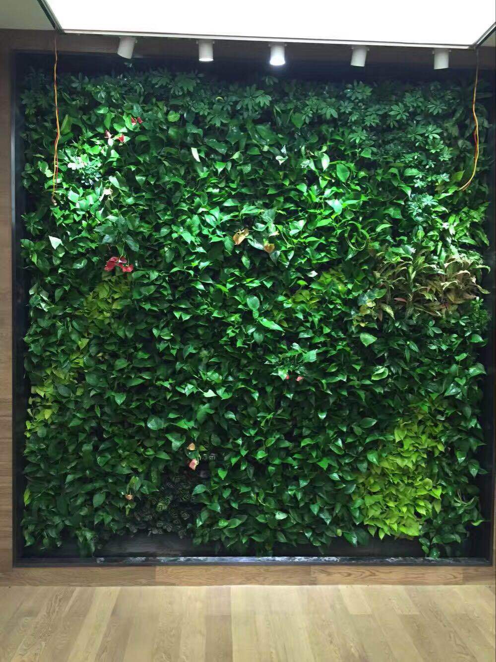 厂家直供真植物墙人工塑料草皮前台形象墙室内外垂直绿墙真植物