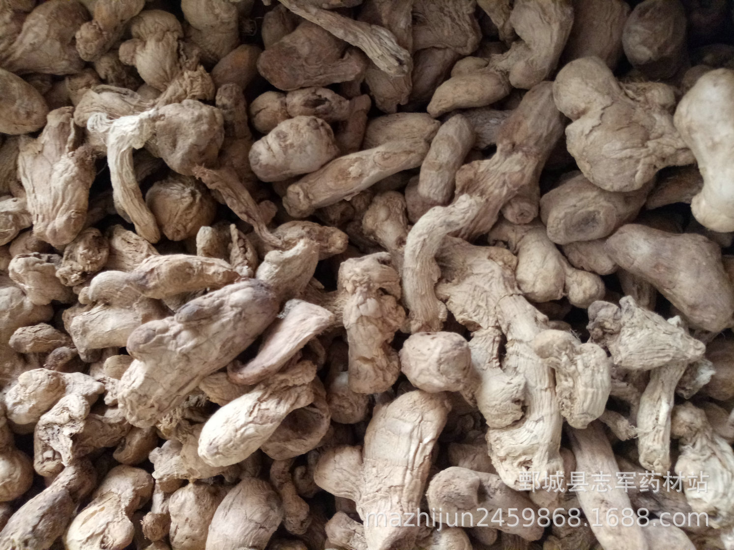 炮姜统货实拍照