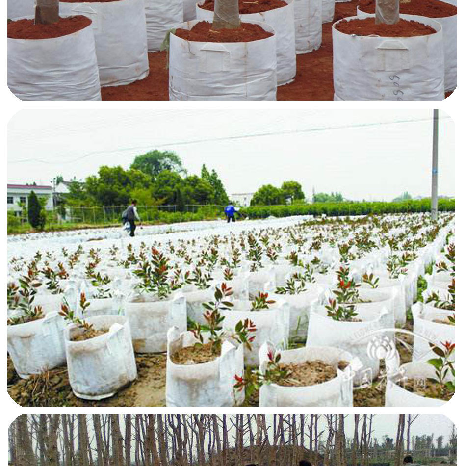 美植袋 环保植树袋 无纺布育苗袋 种植袋 替代花盆 营养布袋花盆