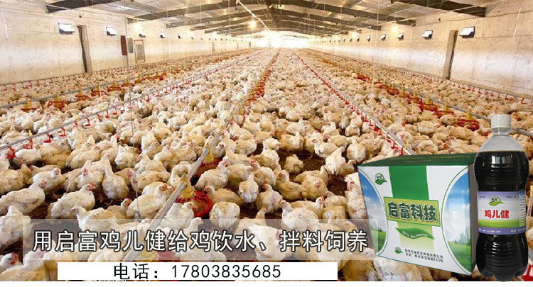 雞兒健菌液飲水拌料
