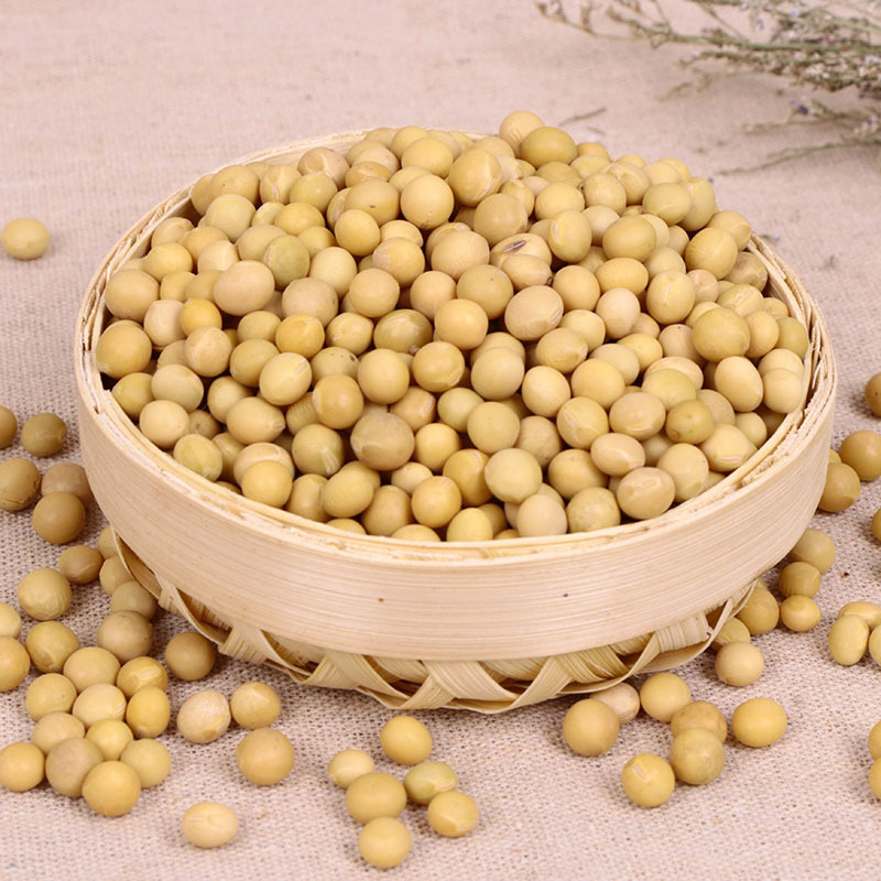 东北生大黄豆现货批发现磨豆浆原料五谷杂粮
