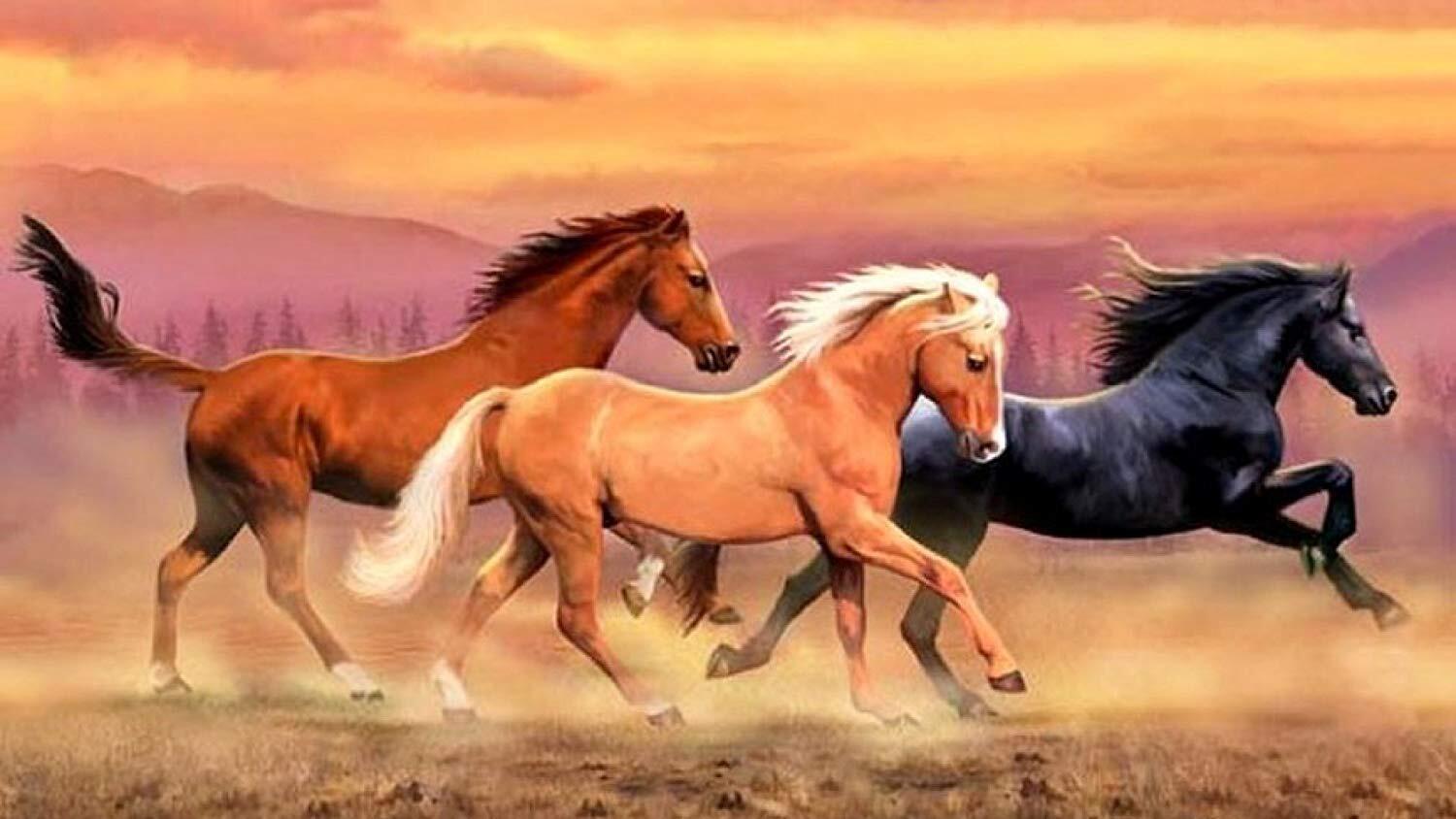 三只马 马到成功 钻石画