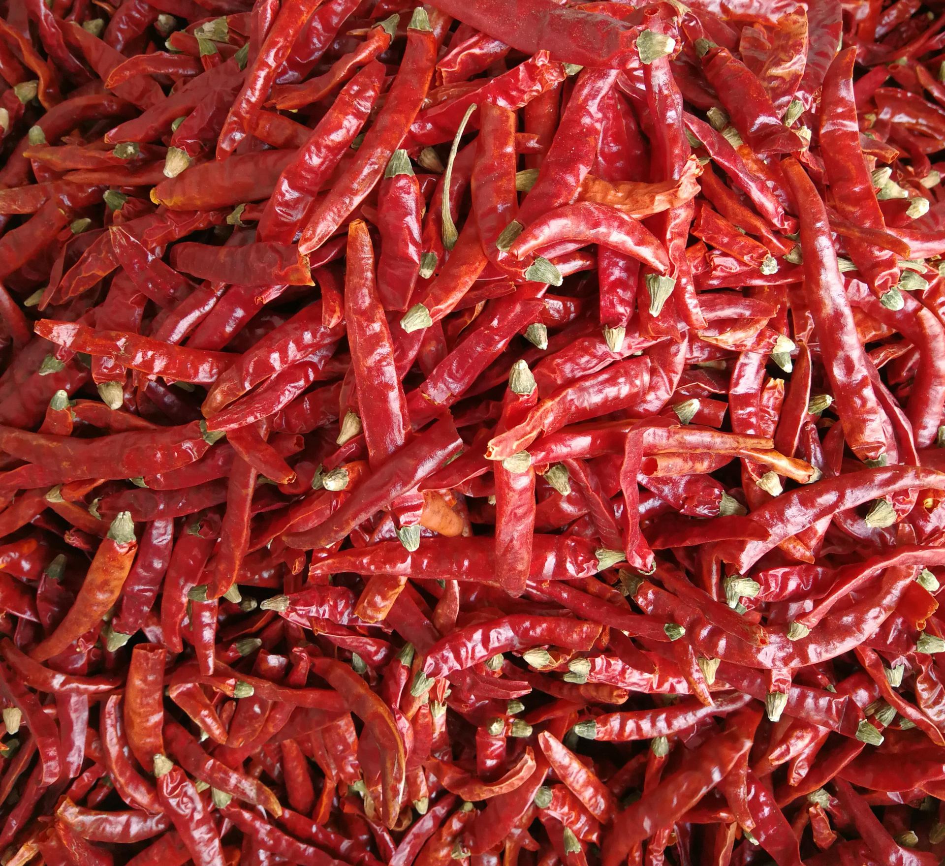 辣椒干批发印度椒s17 印度魔鬼椒s17 辣椒干 干辣椒s14