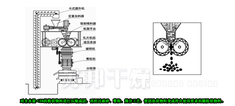 西药对辊造粒设备 全自动干法制粒机 干法造粒挤压