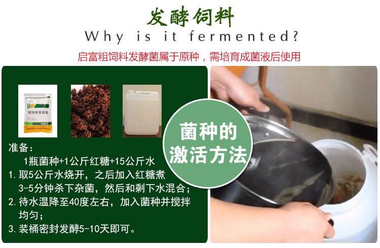 养猪饲料发酵剂使用案例