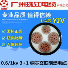 珠江/华新 YJV3+1芯10/25/35/70/95/120/185/300-400平方电力电缆