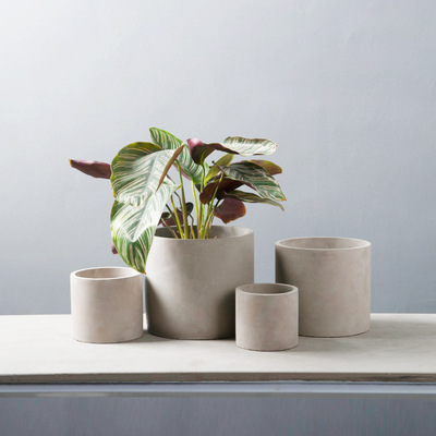 批发北欧简约多肉植物水泥花盆透气圆柱形水泥材质花盆共六款可选