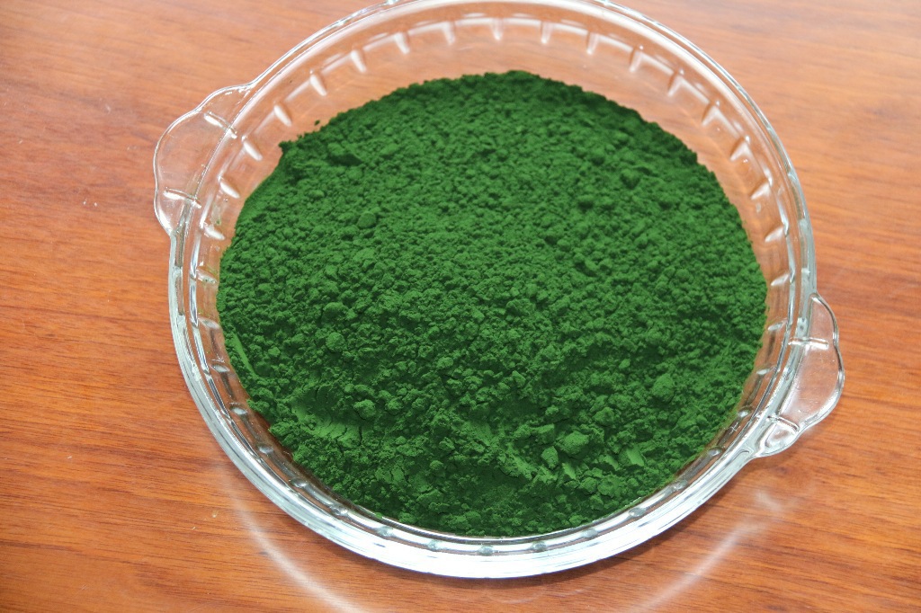 供应 食品营养强化免疫调节粉状小球藻粉 绿色蛋白核小球藻粉批发