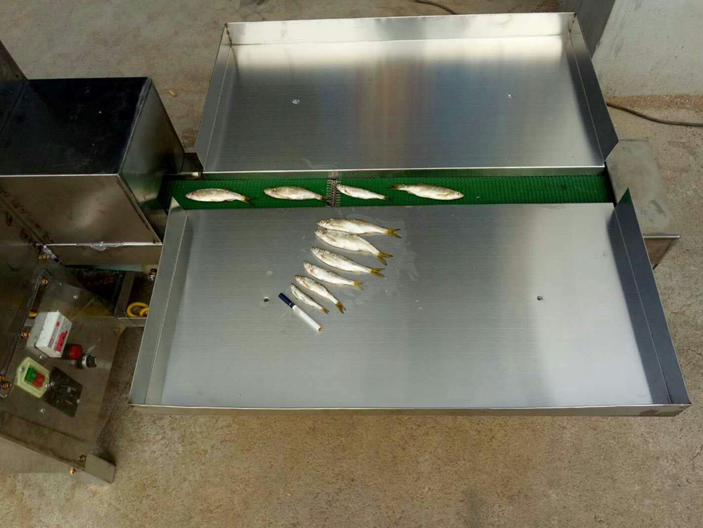 高鸿机械制造自动杀小鱼机商用多功能宰鱼机开肚去内脏开背一体机