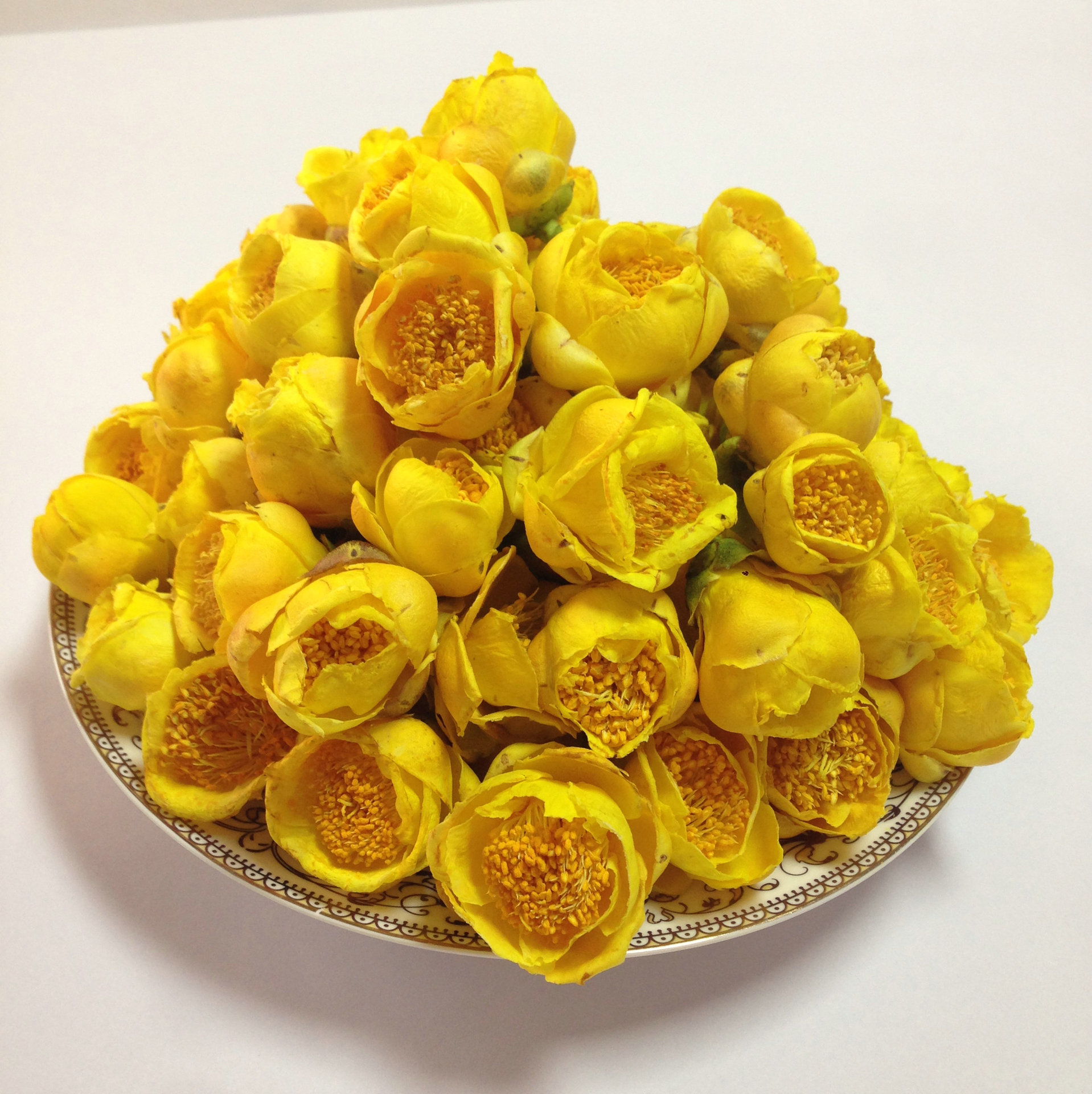 批发散装金花茶十万大山金花茶广西防城港金花茶干花精选金花茶