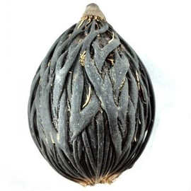 25成交0笔深度验商复购率:7%批发猕猴桃种子奇异果狐狸桃藤梨猴仔梨杨