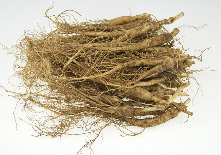 本品为长白山1元小人参,6-10克/支各种大小规格齐