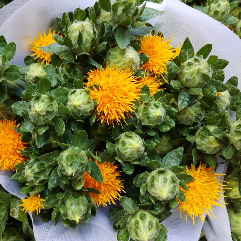 橙菠萝云南昆明基地鲜花基地直发鲜花叶材批发