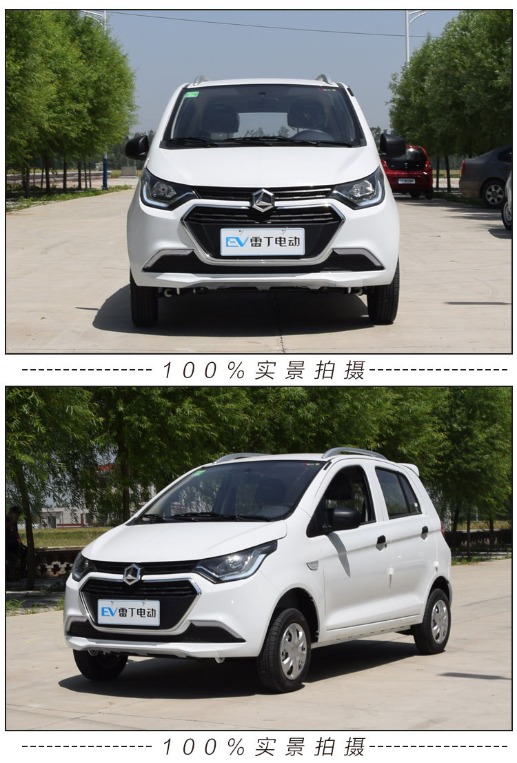 雷丁d70电动四轮车成人电动汽车轿车油电两用代步车新能源观光车