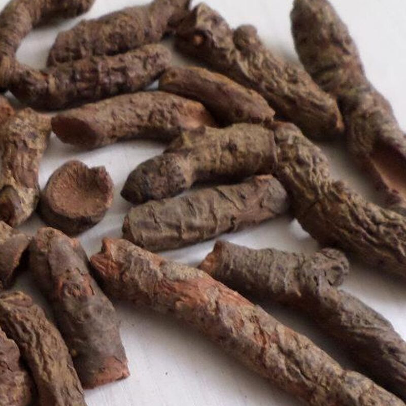 中药材批发血三七 野生红三七正品扭子七 无硫血三七新货包邮