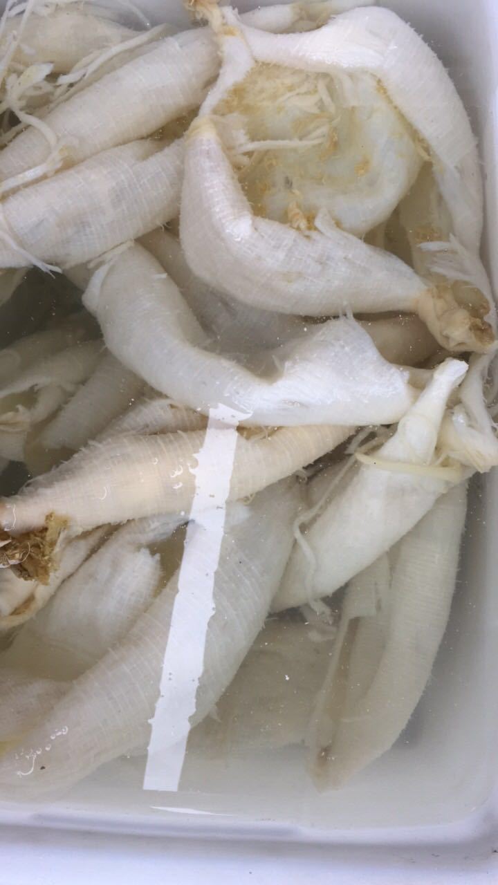 毛肚批发散装毛肚冷冻水发底板丝成都特色餐饮食材