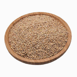 谷粒房 五谷磨坊原料五谷杂粮批发 低温烘焙大麦 熟大麦5斤/包