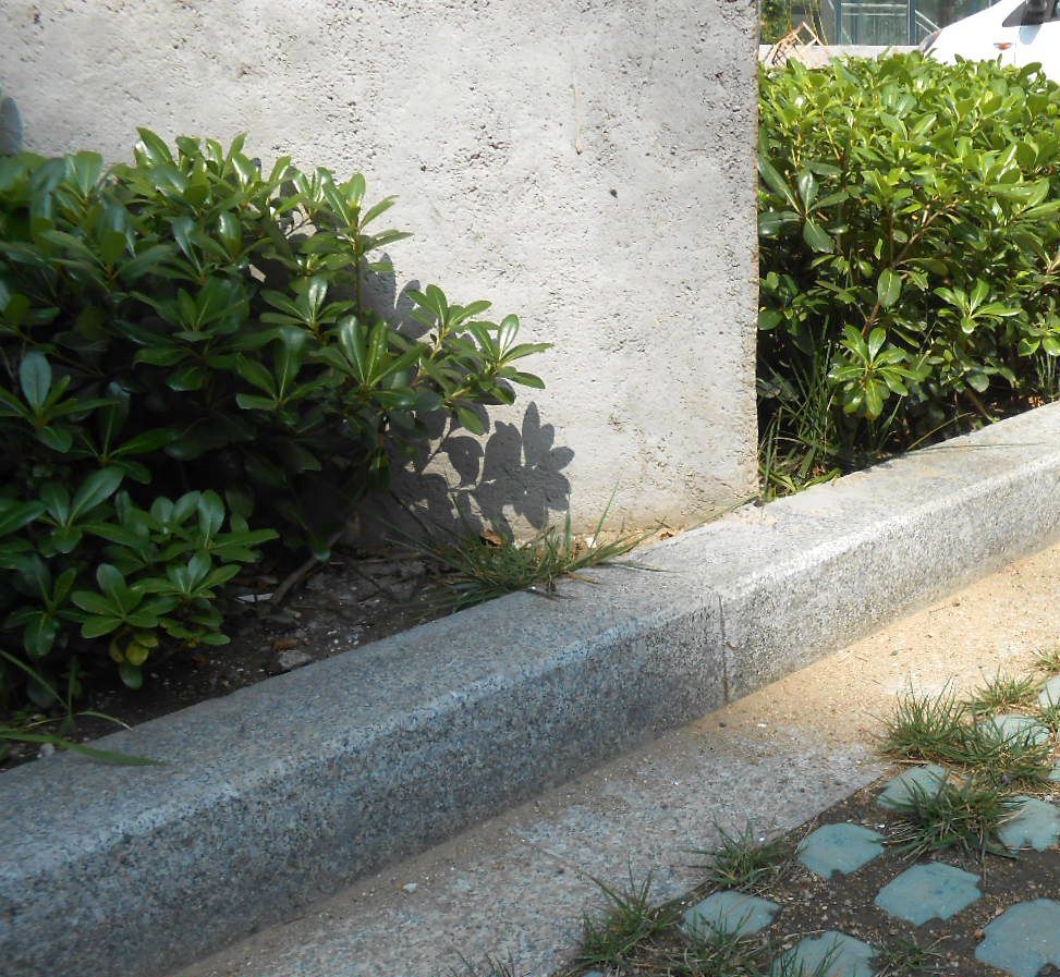 芝麻灰路牙石 灰麻 石材加工 道牙石图片 马路牙石