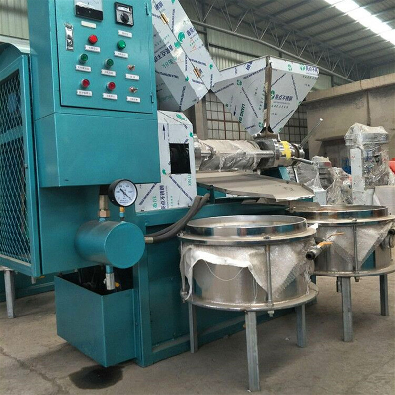 大型商用榨油机 100自动上料螺旋榨油机 茶籽亚麻籽冷榨机