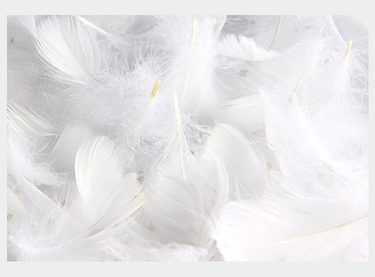 羽毛装饰拍照道具 ins风道具 多色鹅毛 摆拍摆件化妆品 拍摄背景-阿里