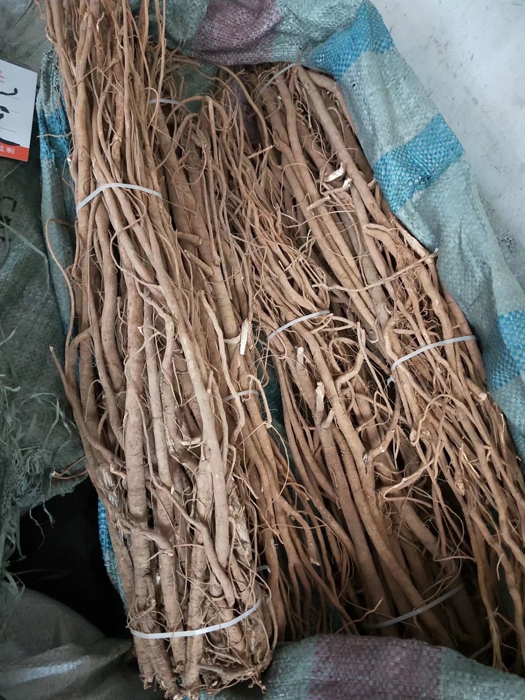 批发中药材千斤拔 一条根 老鼠尾 吊马桩