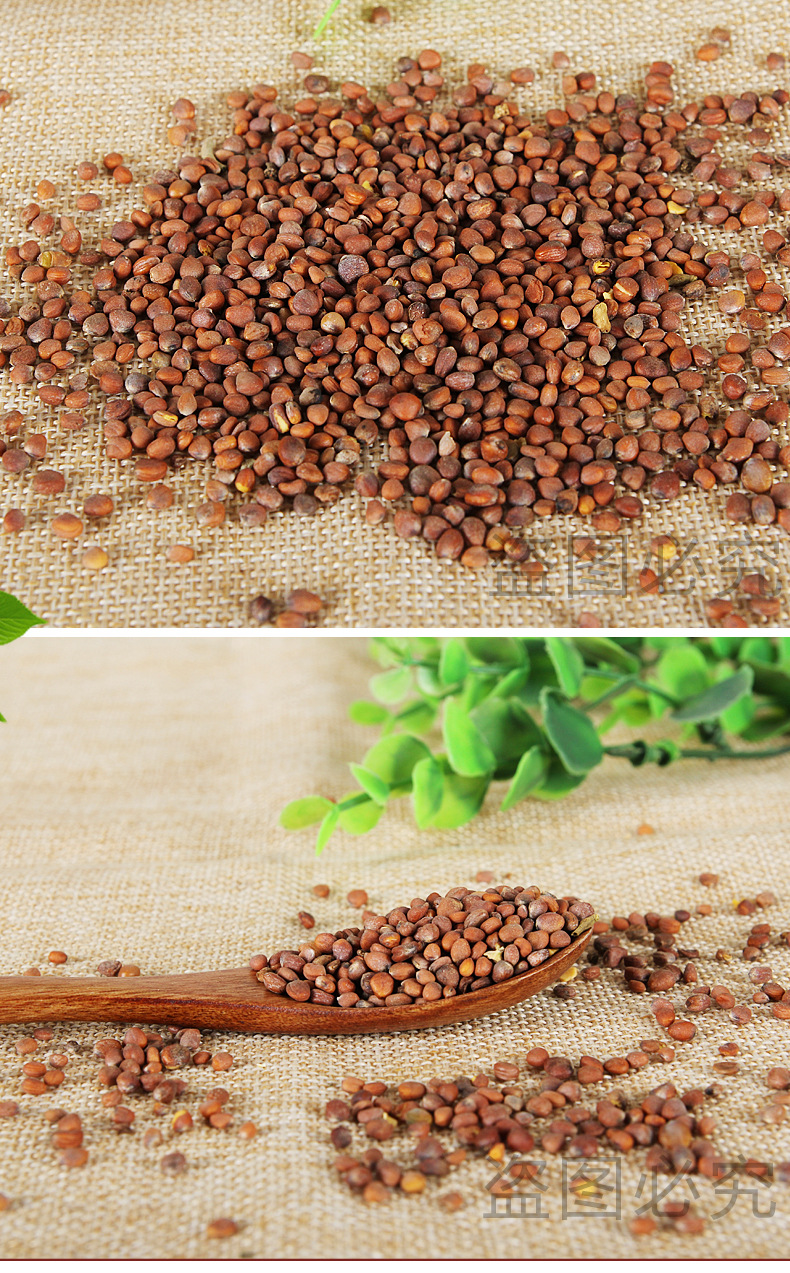 莱菔子现货批发亳州中药材中药材籽类药材散装莱菔子中药