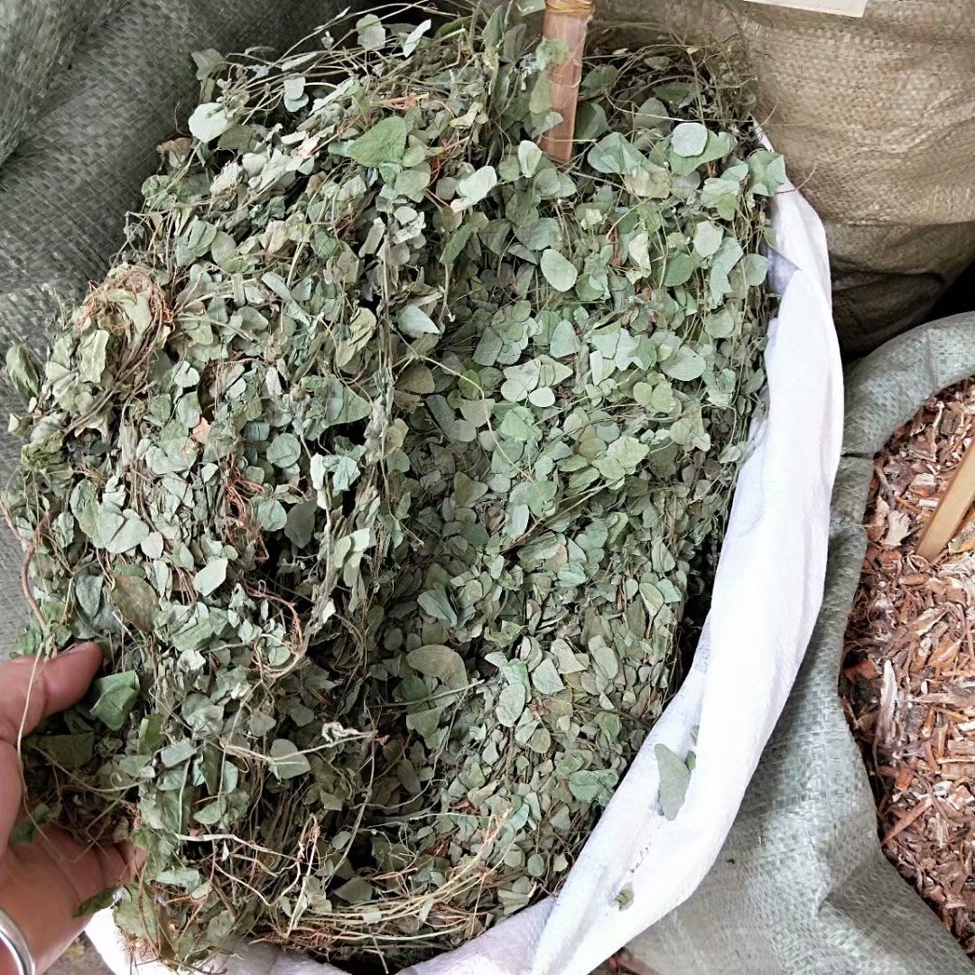 中药材圆叶化石草 猫须草
