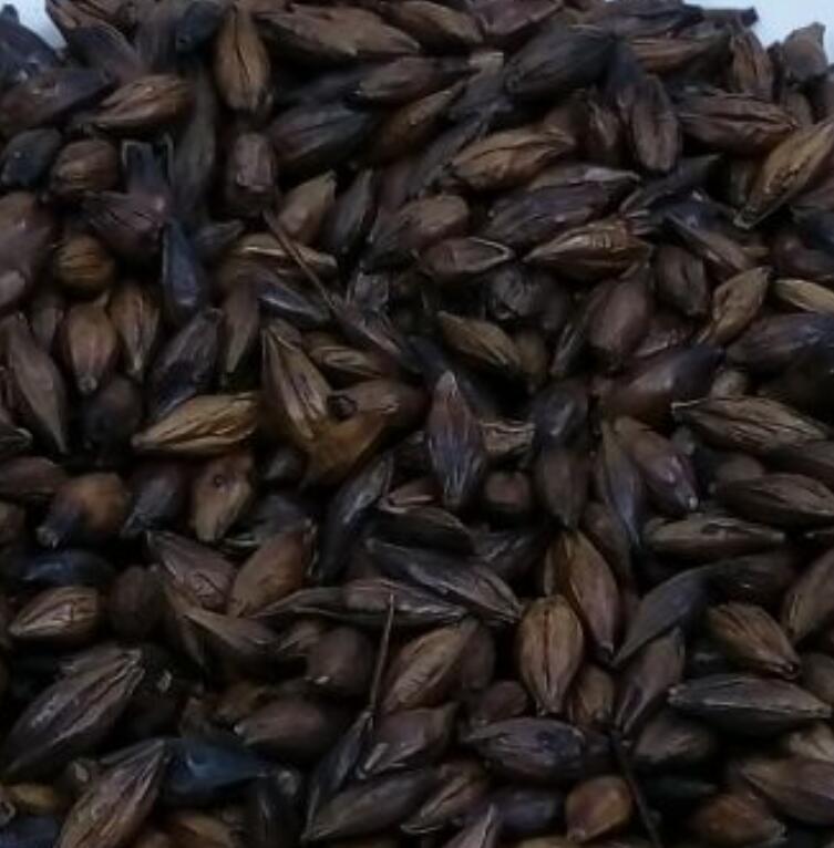 中药材批发 正品焦麦芽天然黑麦芽 新货麦芽一公斤包邮