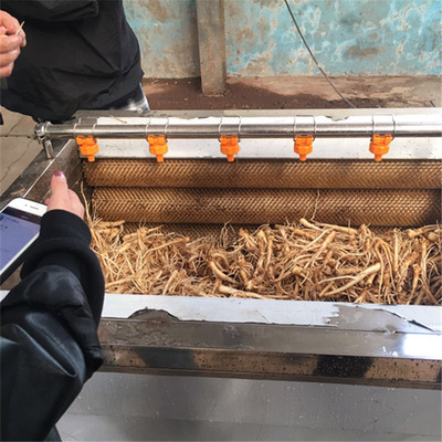 桔梗去皮清洗机厂家现货排污泥效果好 金铁锁中药材去皮清洗机y