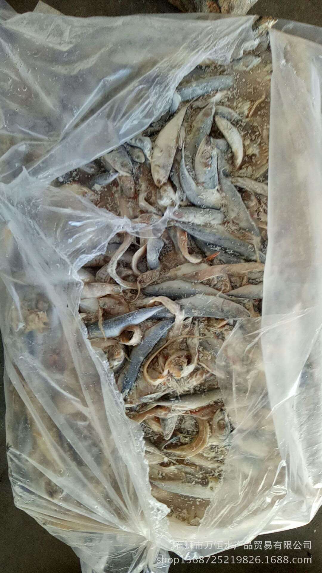 石狮万恒水产批发冷冻饲料鱼 杂鱼 可喂鱼 喂螃蟹 9.5公斤一件
