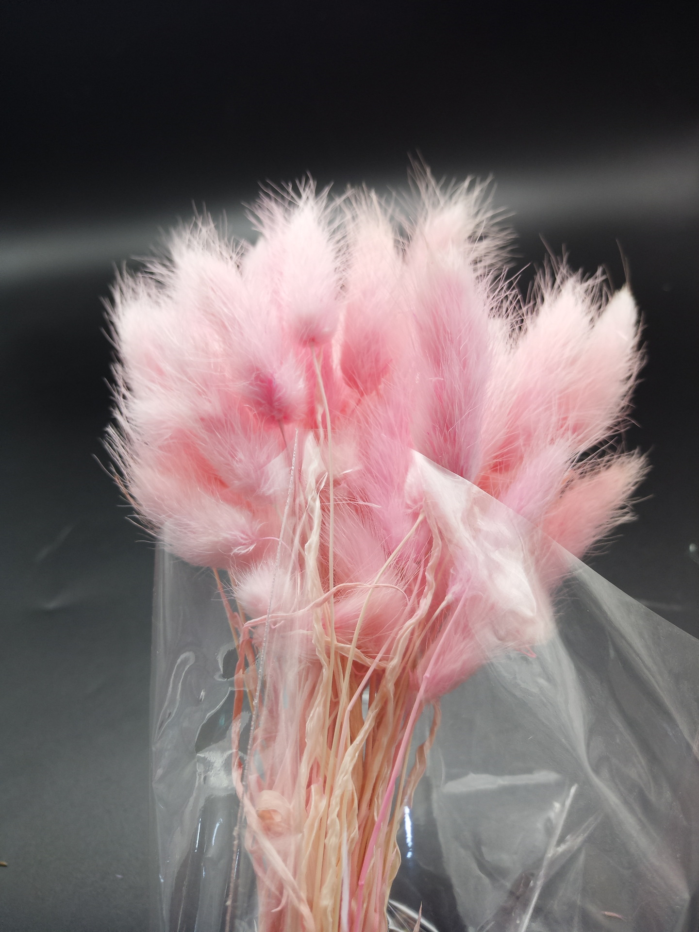 云南 兔尾草干花天然花束 仿真花永生花diy花材狗尾巴草拍摄道具