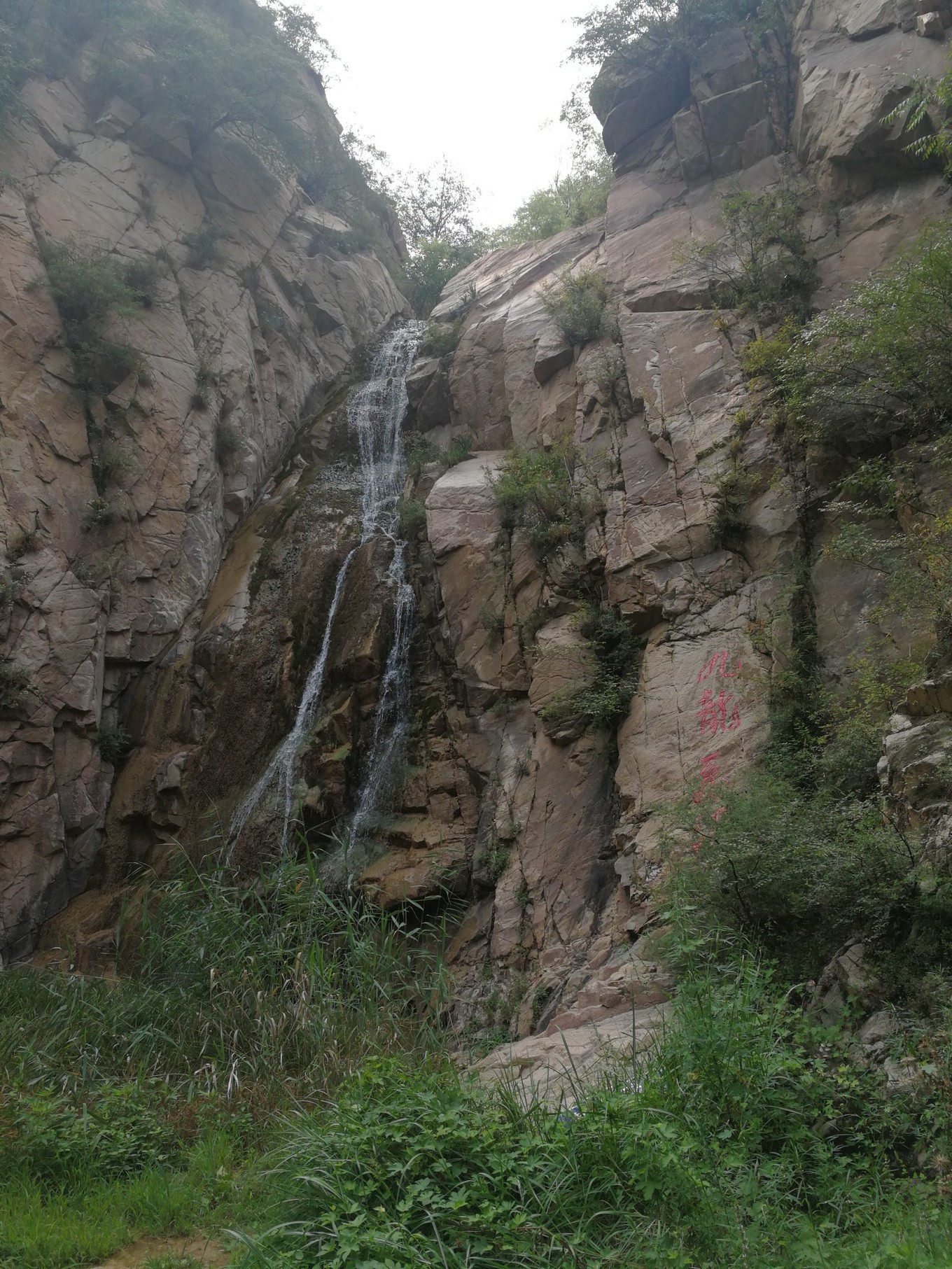 七月初七,巧遇七夕,九龙山自驾分享