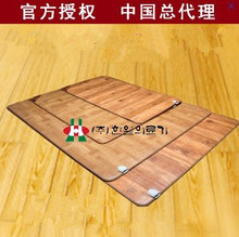 韩国原装进口韩一电热毯地垫地毯加热垫移动加热爬行垫地暖热垫